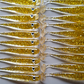 Knacker Shad Pro - Goldi